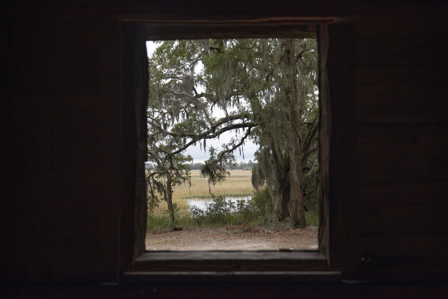 Window view at Charles Towne Landing